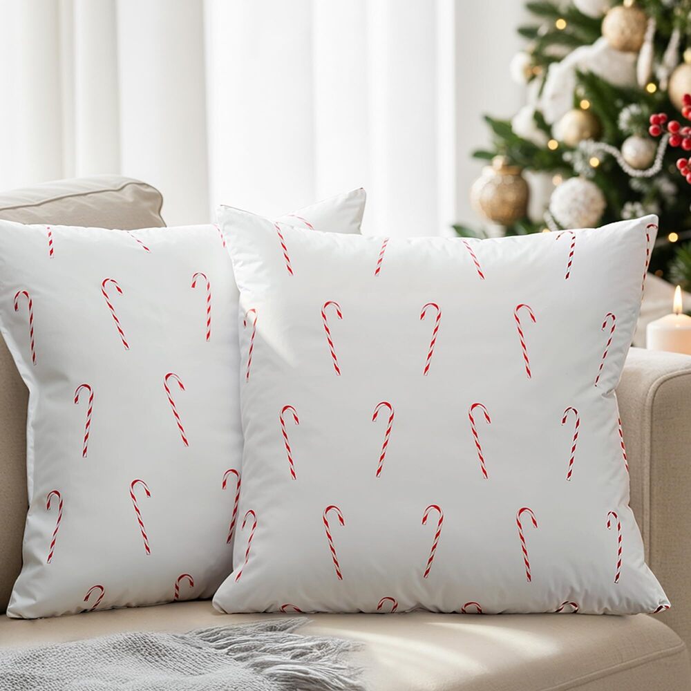 3807 Christmas Velvet Decorative Throw Pillow Covers, 20x20 Inch - Pack of